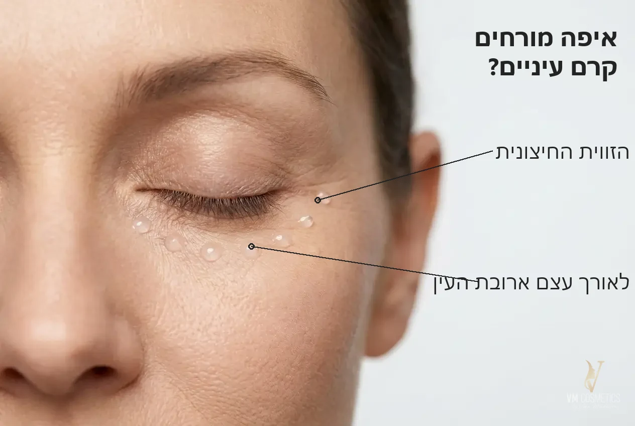 איפה מורחים קרם עיניים — לאורך עצם ארובת העין - VM Cosmetics