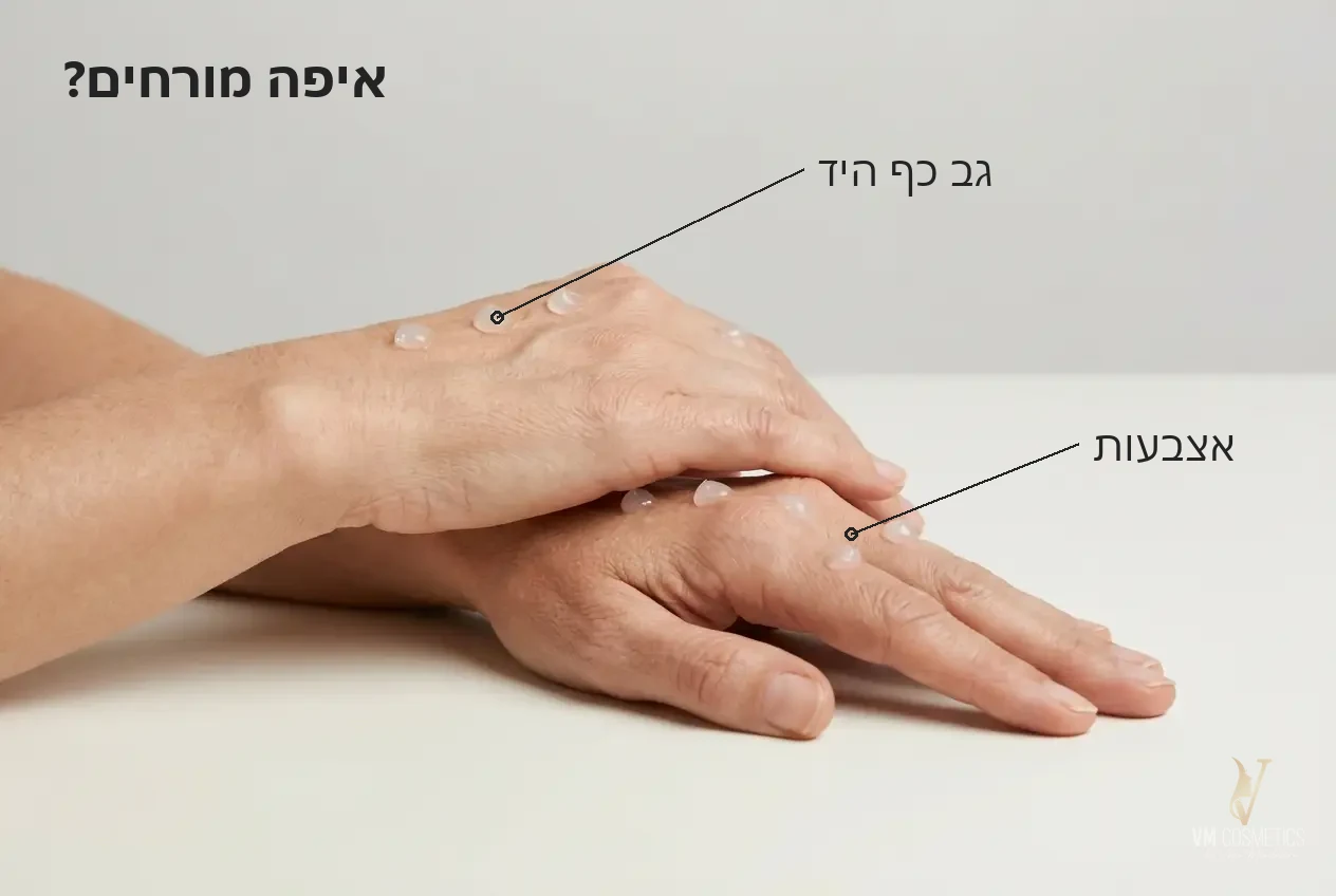 איפה מורחים קרם ידיים גב כף היד והאצבעות VM Cosmetics
