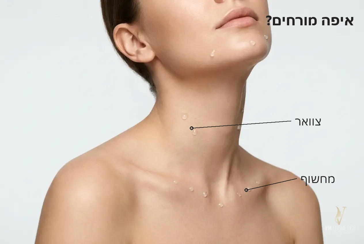 איפה מורחים — צוואר ומחשוף - VM Cosmetics