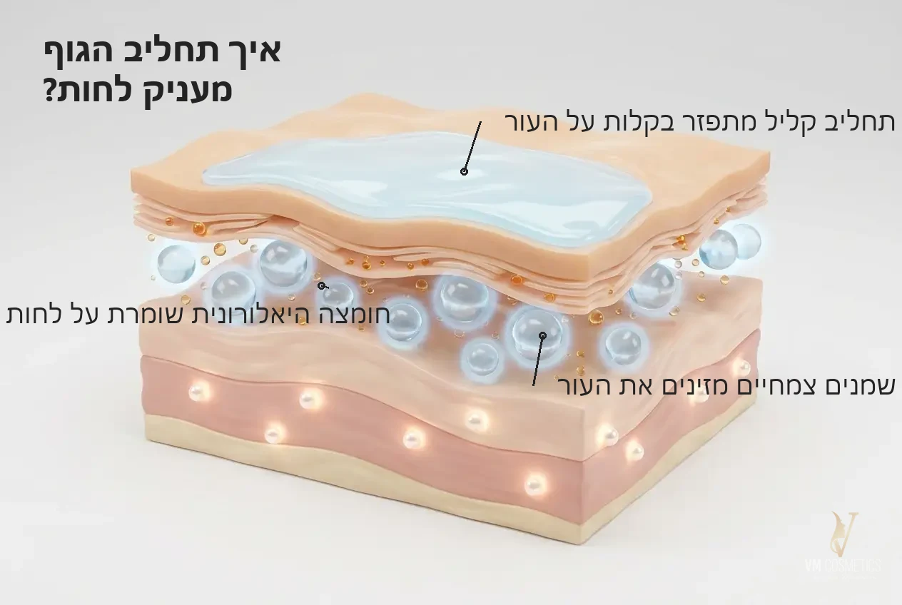 איור מנגנון לחות ורכות לעור הגוף תחליב גוף Bio Vital Hair and Body אנה לוטן VM Cosmetics