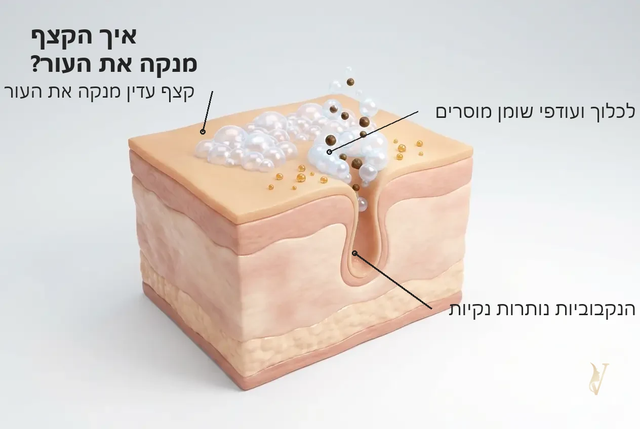 איור מנגנון ניקוי עדין ונטול סולפאטים קצף ניקוי תה ירוק לייטנינג קר C אנה לוטן VM Cosmetics