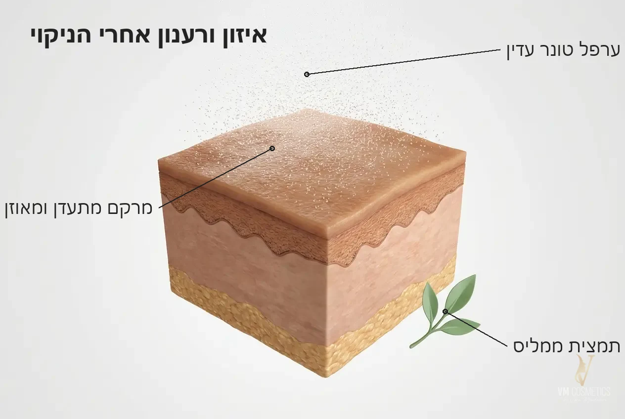 איזון ורענון אחרי הניקוי איור מנגנון: טונר מאזן pH מי פנים פוראבר יאנג VM Cosmetics