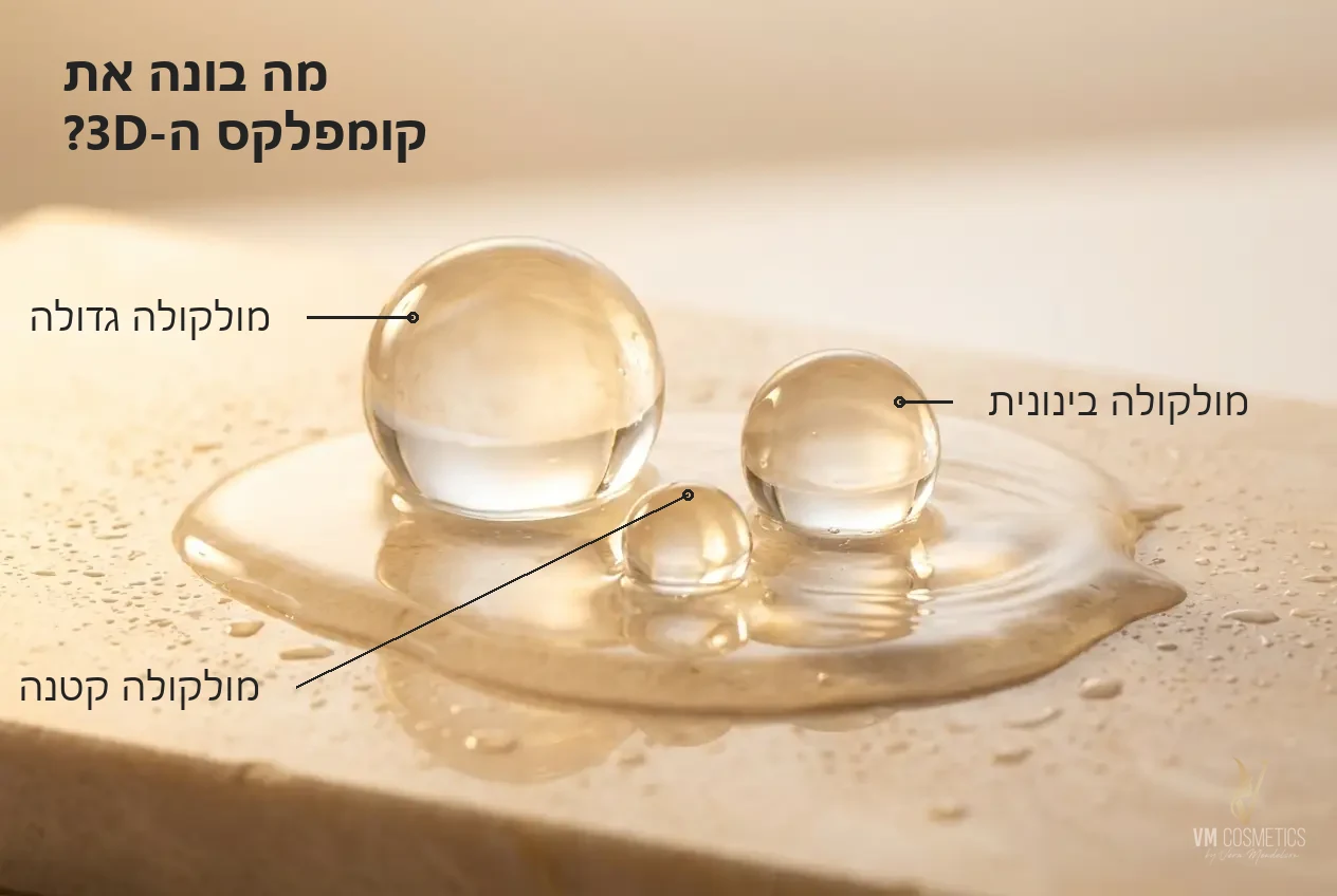 איור מרכיבים: קומפלקס 3D של שלושה סוגי חומצה היאלורונית טהורה — סרום חומצה היאלורונית 3D GIGI - VM Cosmetics