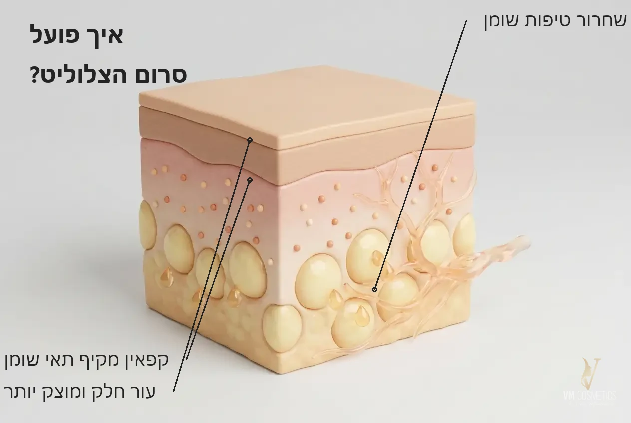 איור מנגנון: פעולה על תאי השומן ומערכת הלימפה — Cellulite Therapy Serum סרום לטיפול בצלוליט HIKARI היקארי - VM Cosmetics