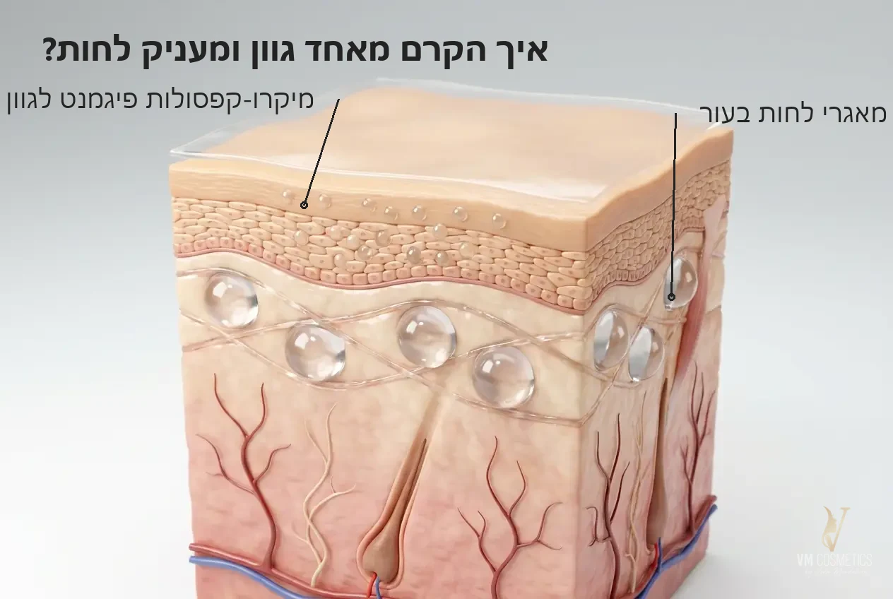 איך הקרם מאחד גוון ומעניק לחות — איור מנגנון גוון אחיד ולחות - BB-Bellissima 020 HIKARI - VM Cosmetics