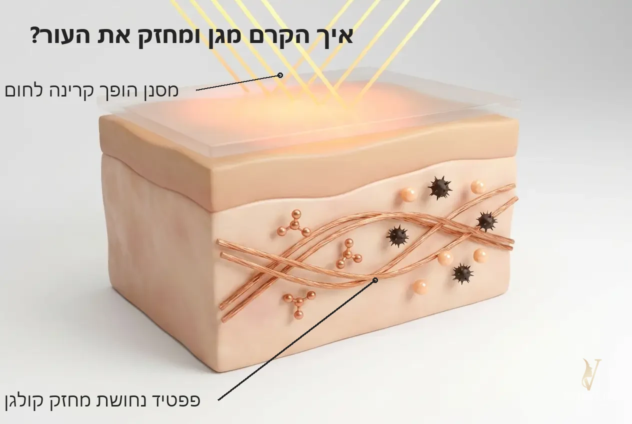איך הקרם מגן ומחזק את העור — איור מנגנון הגנה SPF30 וחיזוק קולגן - Sunblock SPF 30 HIKARI - VM Cosmetics