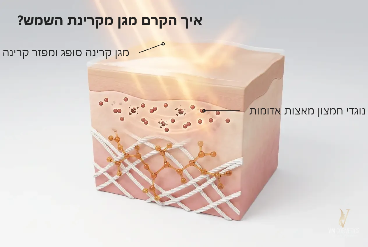 איך הקרם מגן מקרינת השמש — איור מנגנון הגנה רחבה SPF50 - Sunblock SPF 50 HIKARI - VM Cosmetics