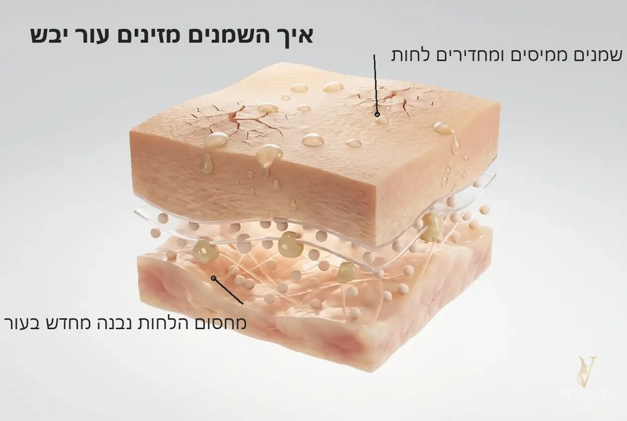 איור מנגנון הזנת עור יבש — Chocolate Power מסכת מסאז' מהפכנית 50 מ״ל HIKARI היקארי - VM Cosmetics