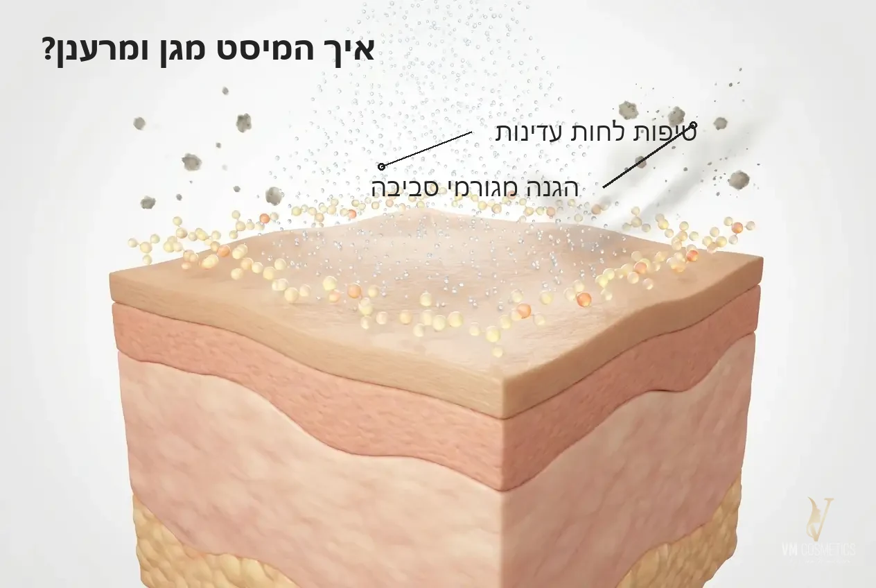 איור מנגנון לחות מיידית והגנה מנוגדי חמצון מפני גורמי סביבה Mist of Youth HIKARI VM Cosmetics