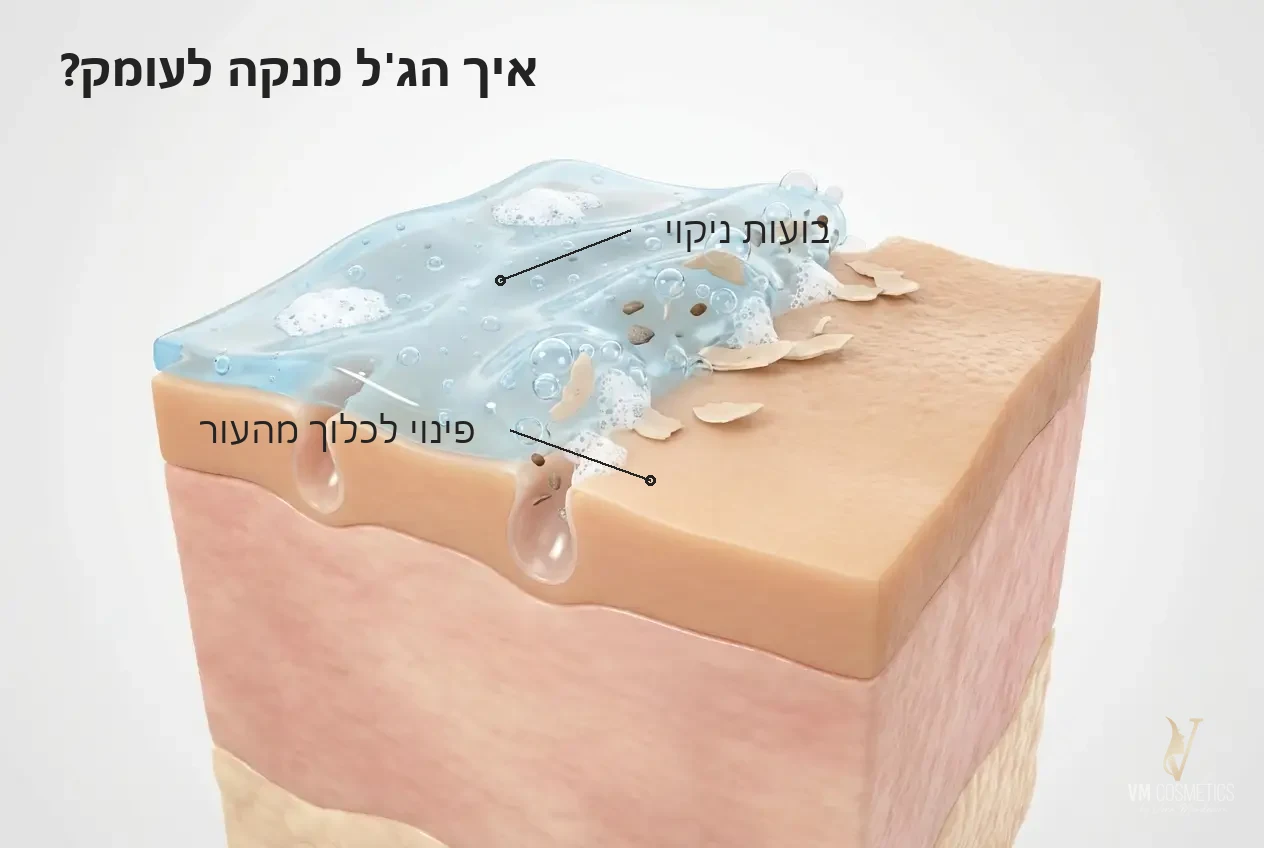 איור מנגנון ניקוי כפול המפנה לכלוך ותאים מתים מהעור — Retouch Cleansing Gel HIKARI - VM Cosmetics