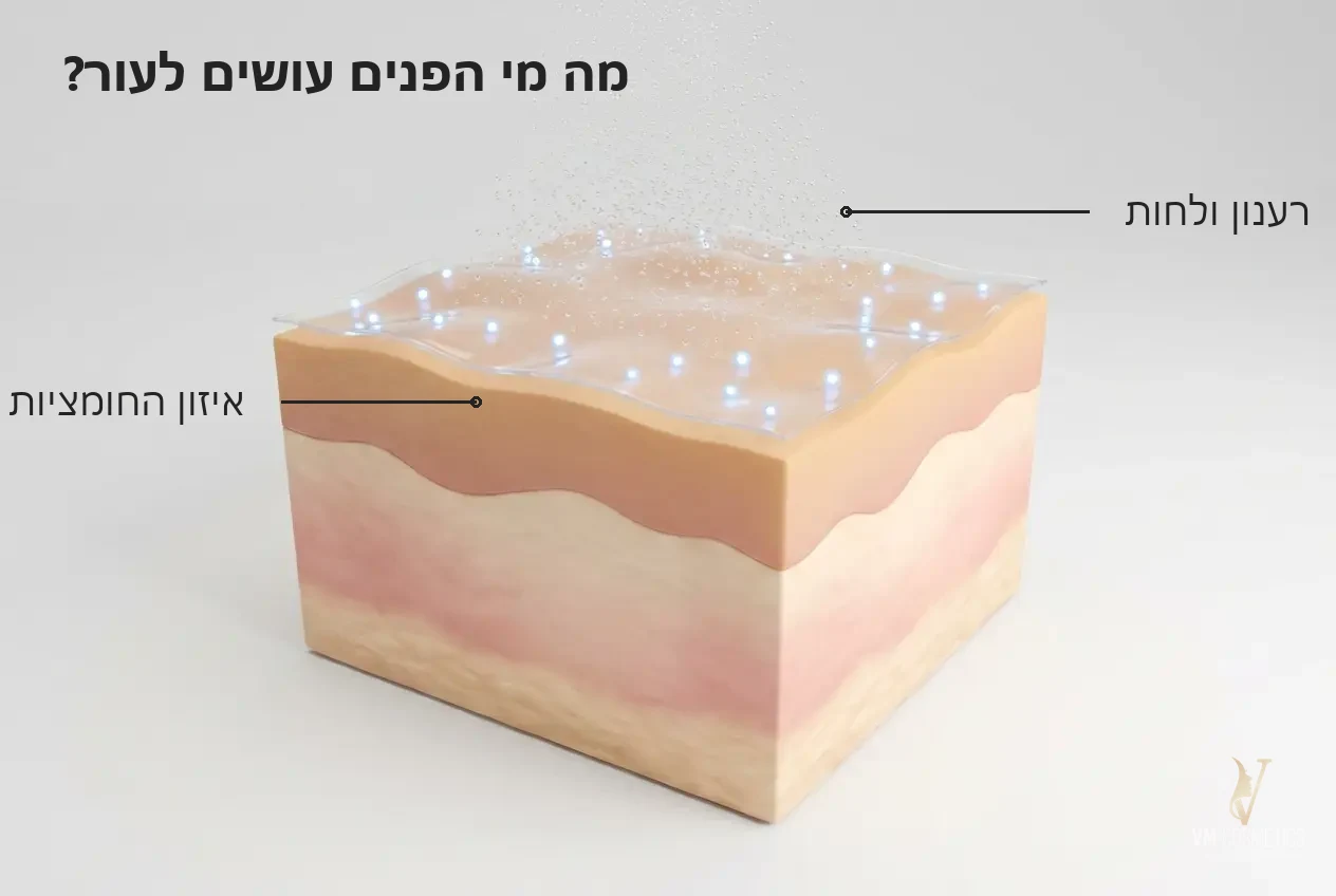 מי פנים פנינים איור מנגנון: איזון ורענון העור מי פנים פנינים לכל סוגי העור Pearl Magiray מאג'יריי VM Cosmetics