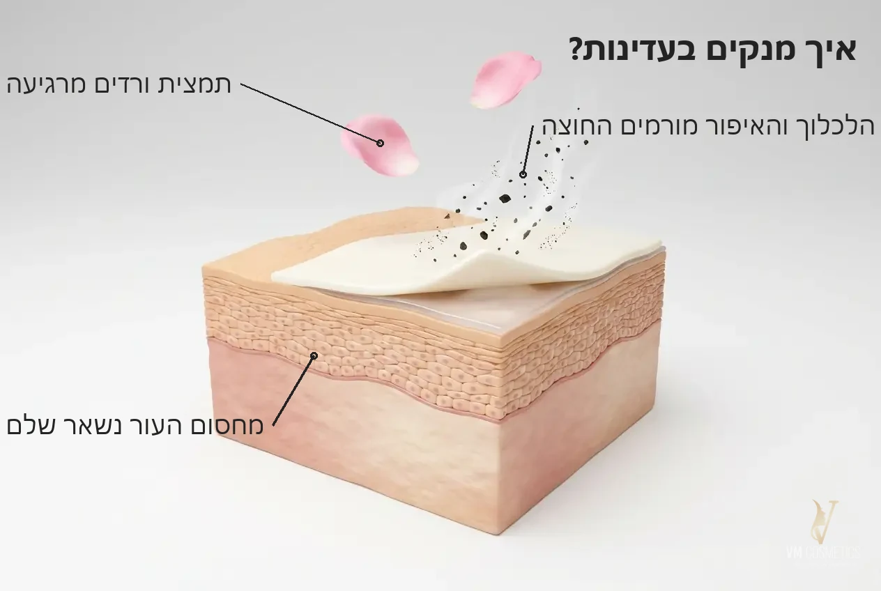 איך מנקים בעדינות — איור מנגנון: הסרת איפור בלי לפגוע במחסום העור - תחליב ורדים MUSE - VM Cosmetics