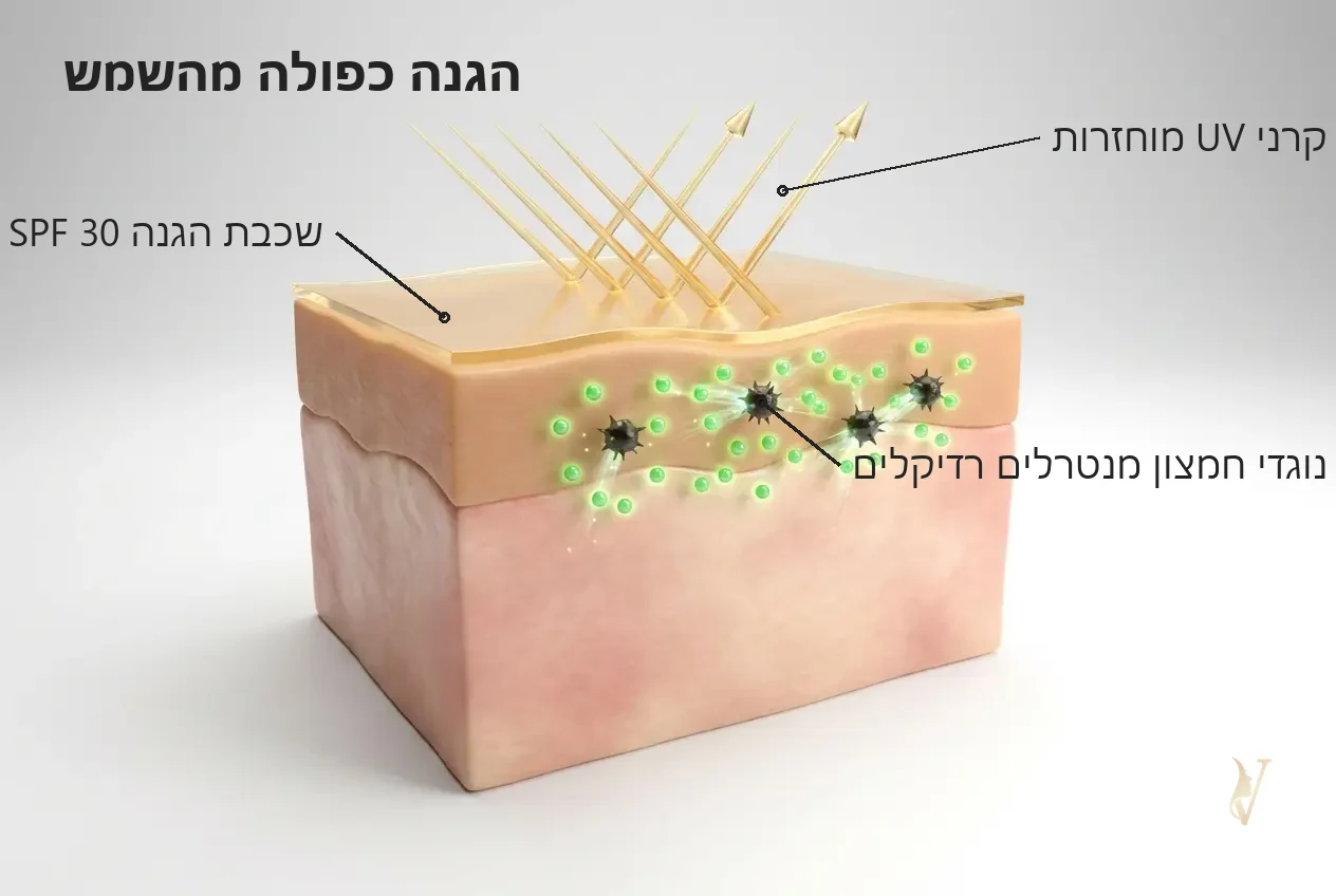הגנה כפולה מהשמש — איור מנגנון: SPF 30 ונוגדי חמצון - קרם יום MUSE - VM Cosmetics
