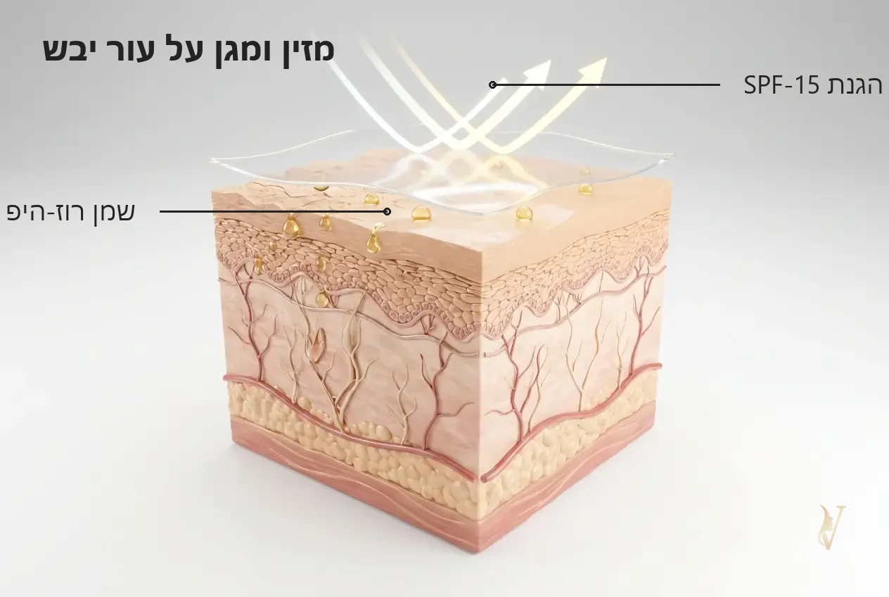 איור מנגנון: שמן רוז היפ מזין את העור לצד הגנת SPF-15 - קרם לחות SPF-15 לעור רגיל-יבש 50 מ״ל Tapuach תפוח - VM Cosmetics